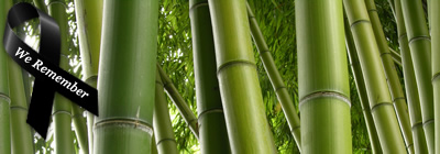 Bamboo Data Systems